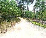 BÁN 2000 m2 ĐẤT ĐỒI CHÂU CHỮ PHƯỜNG THUỶ XUÂN TP.HUẾ