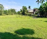 CHO THUÊ ĐẤT CHÂN ĐỒI CHÂU CHỮ LÀM FARMSTAY TẠI TP.HUẾ